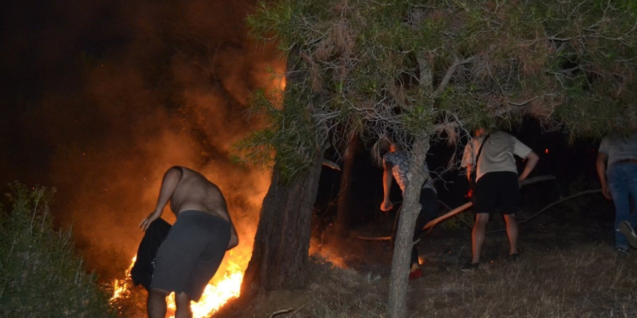 Manisa Cephanelik mevkiinde orman yangını! Vatandaş seferber oldu