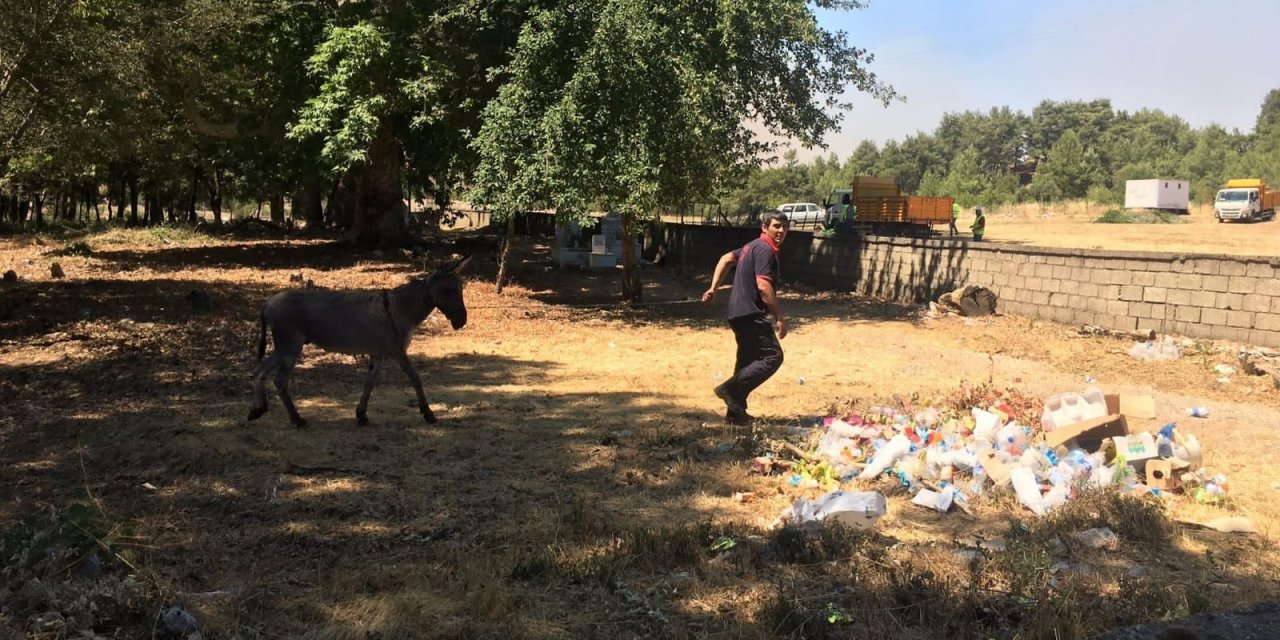 Gündoğmuş'ta alevlerin arasında kalan hayvanları kurtarmak için yoğun çaba