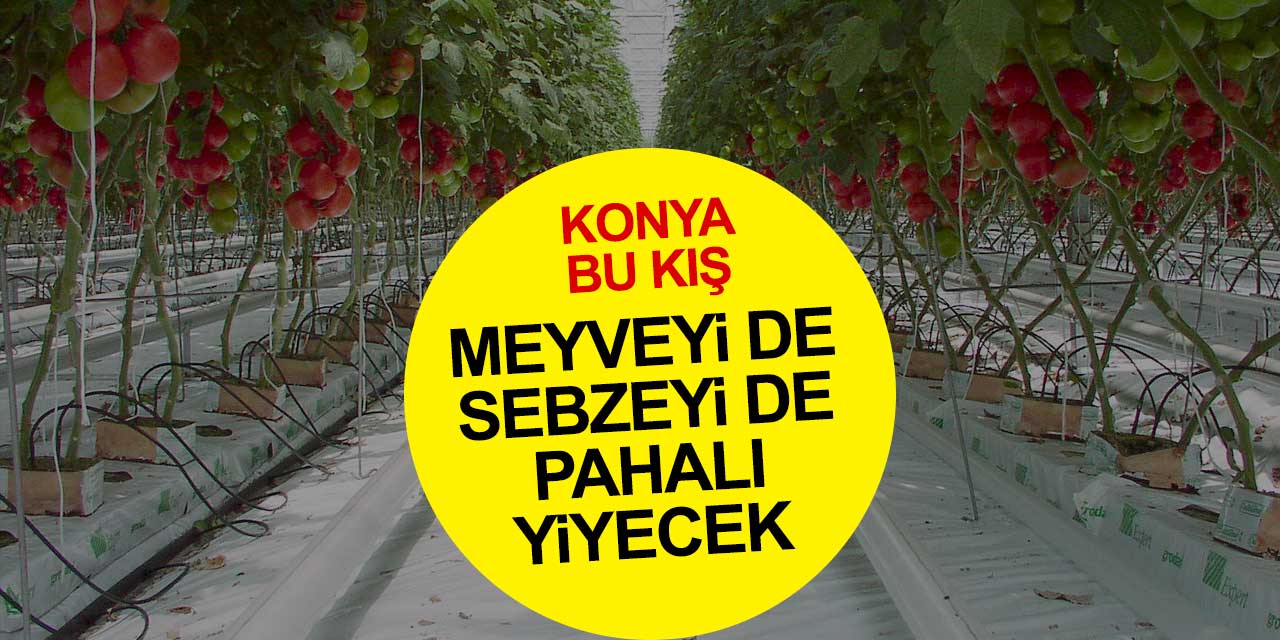 Konya bu kış meyveyi de sebzeyi de pahalı yiyecek