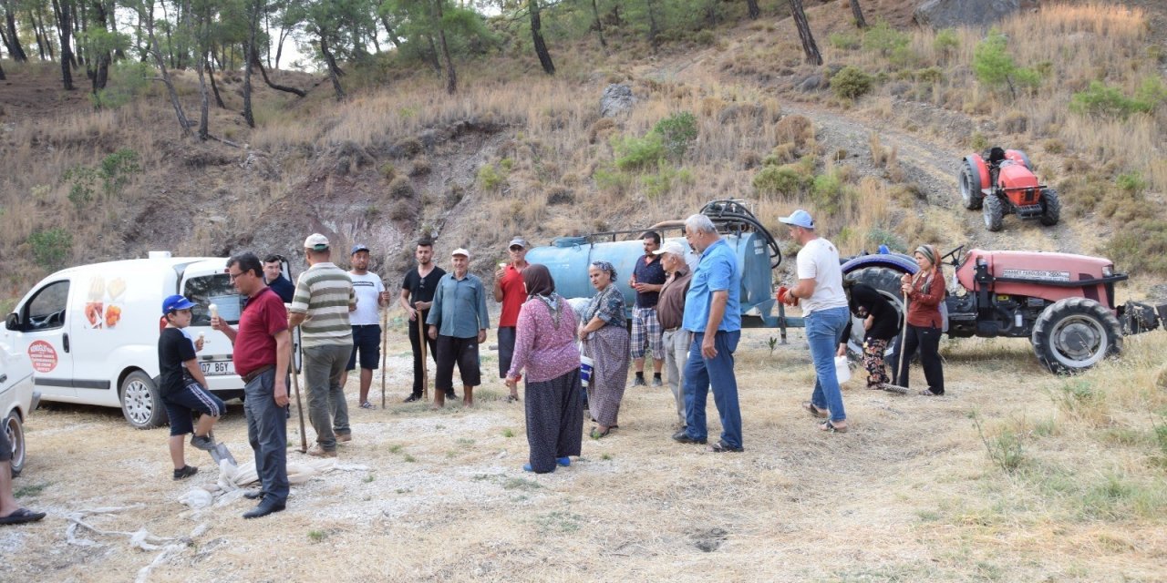 Antalya'da nöbetin ardından kimlik kontrolü de başladı! Göstermeyen geçemiyor