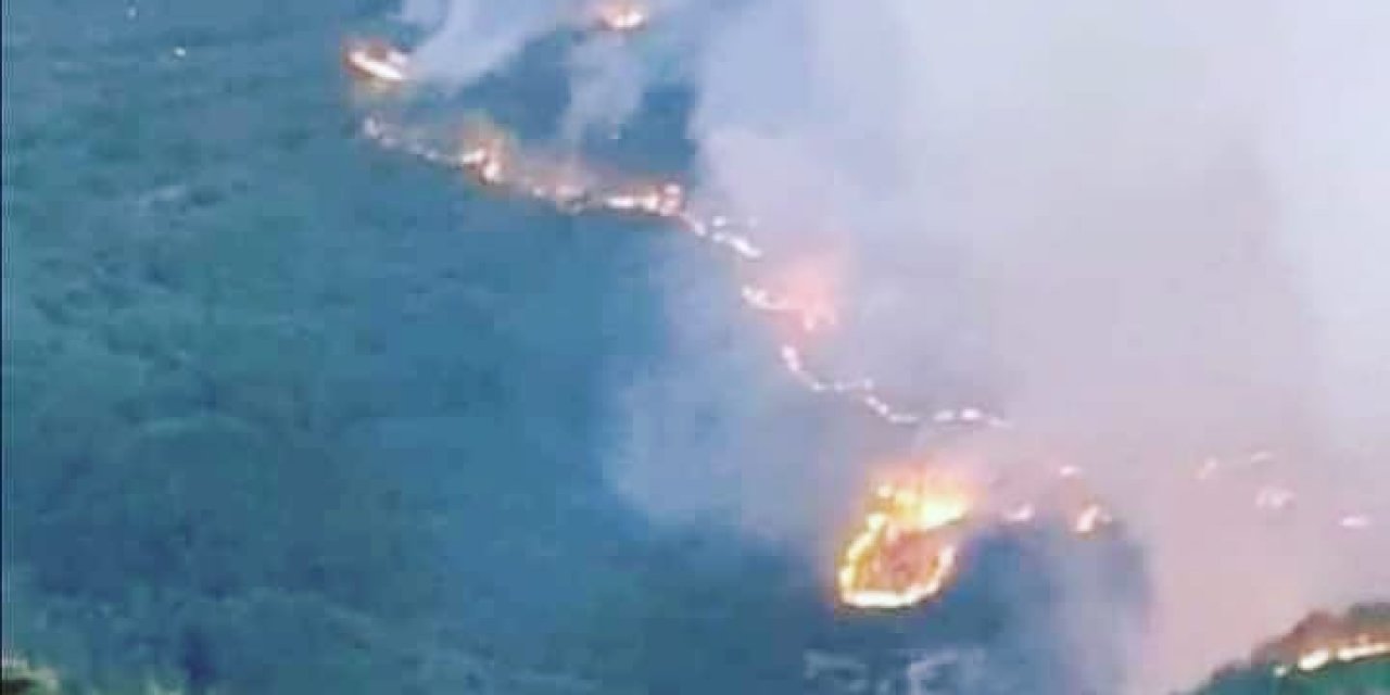 Konya Derebucak orman yangınında son durumu görüntülediler