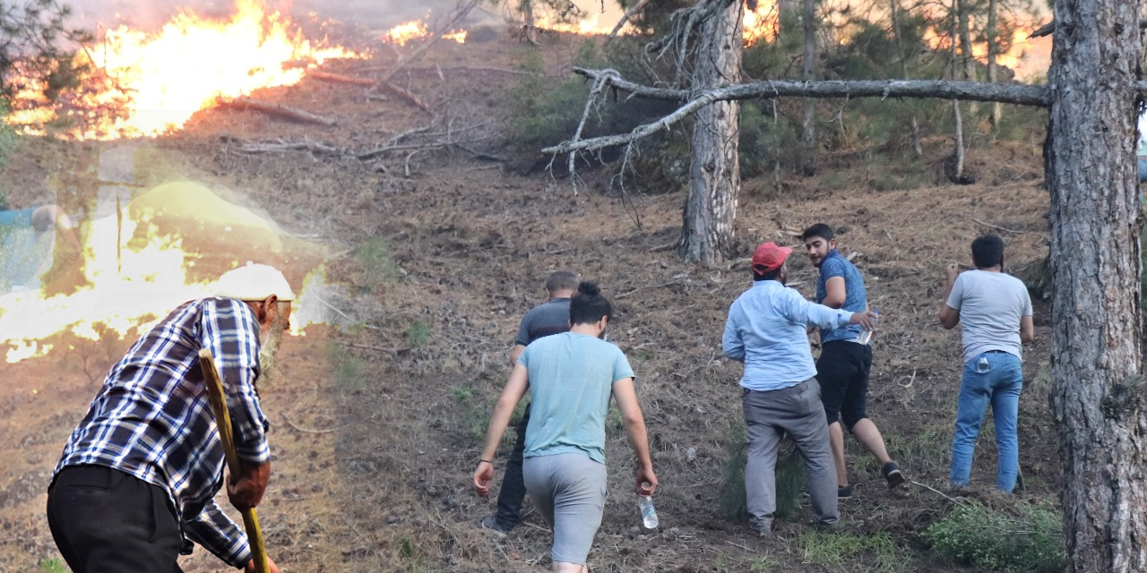 Denizli'de binlerce vatandaş yangına karşı seferber oldu