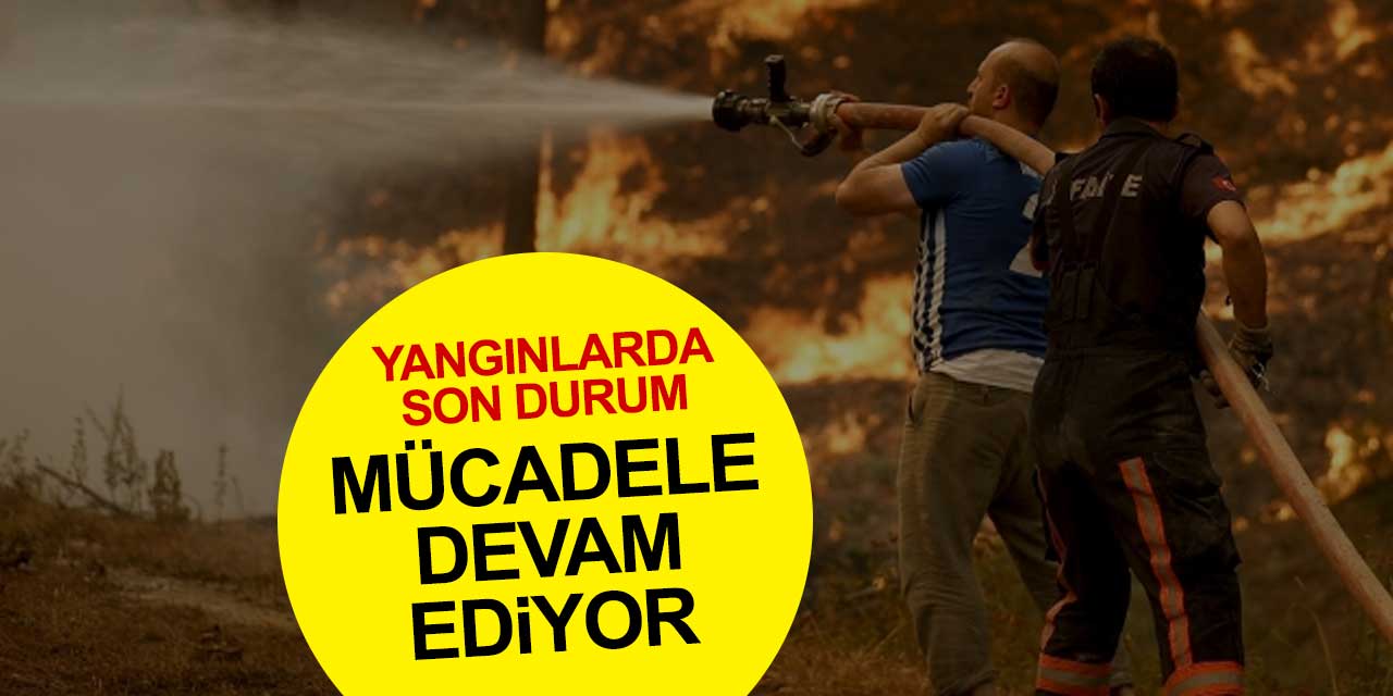 Yerleşim yerlerini de tehdit eden alevlerle mücadele devam ediyor