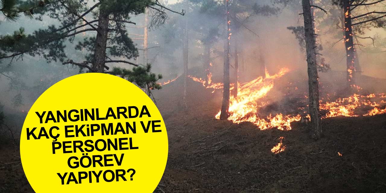 Devam eden yangınlarda kaç ekipman ve personel görev yapıyor?