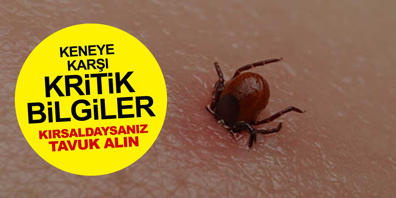 Konya kırsalında da sıkça görülen kene yapışmalarına karşı uzmanından kritik bilgiler