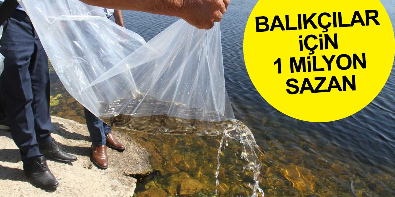 Konya’nın göl ve göletlerine 1 milyon sazan bırakıldı