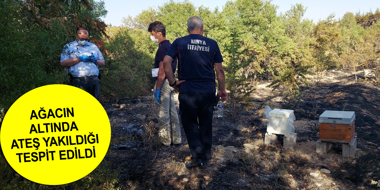 Konya Ardıçlı'daki orman yangını 'kasıtlı çıkarıldı' iddiası!