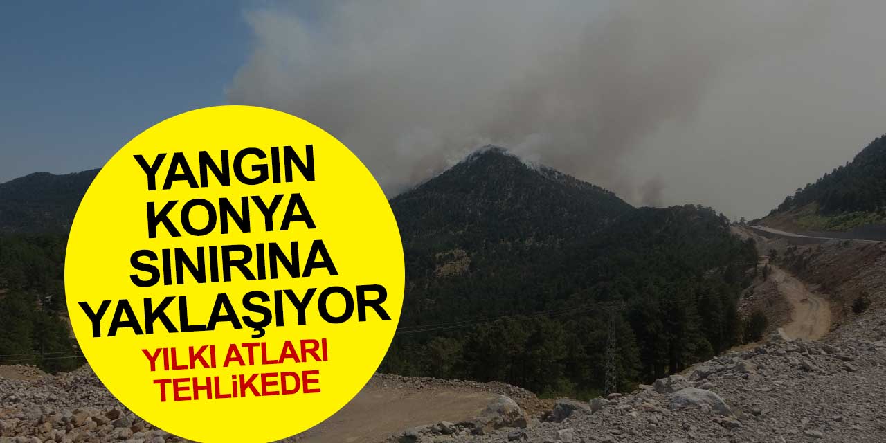 Manavgat yangını Konya-Antalya yolundaki Demirkapı Tüneli'ni de aştı! Yılkı atları tehlikede