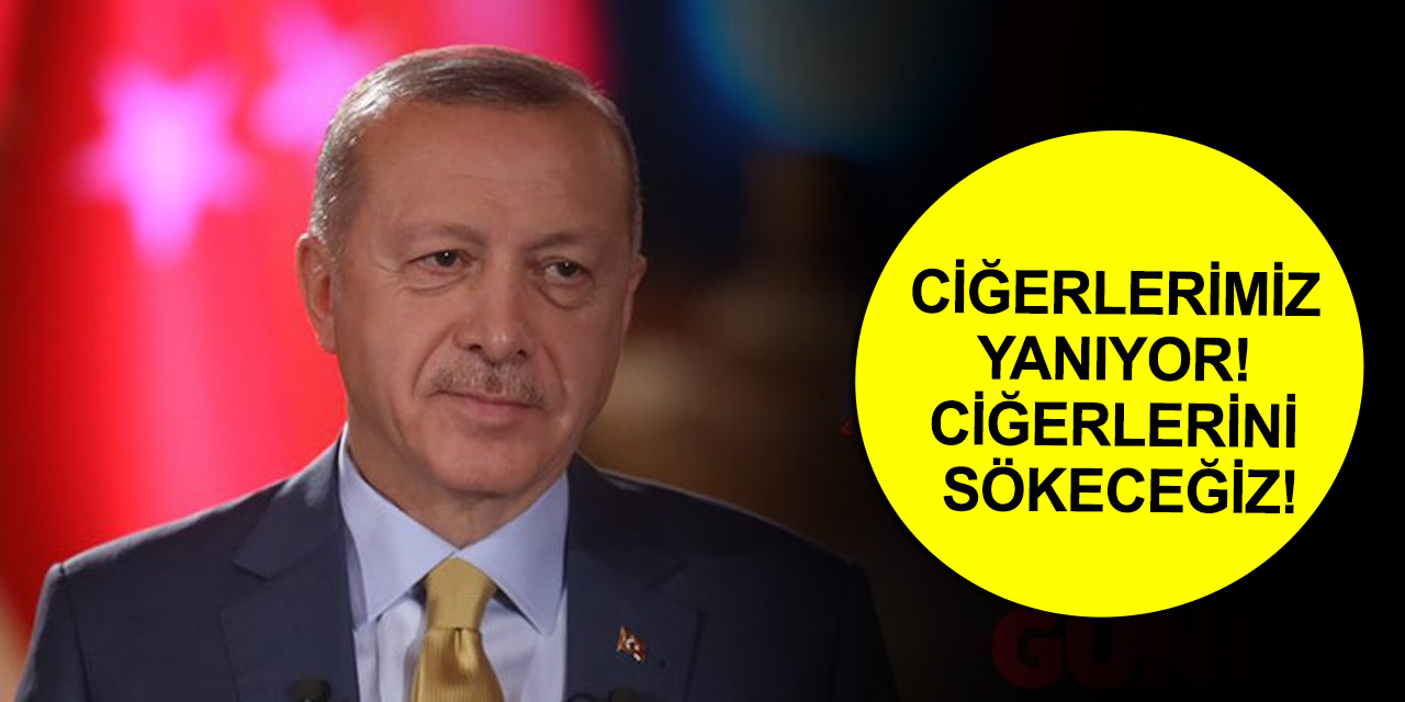 Yangınlarla ilgili tutuklananlar da aileleri de PKK'lı