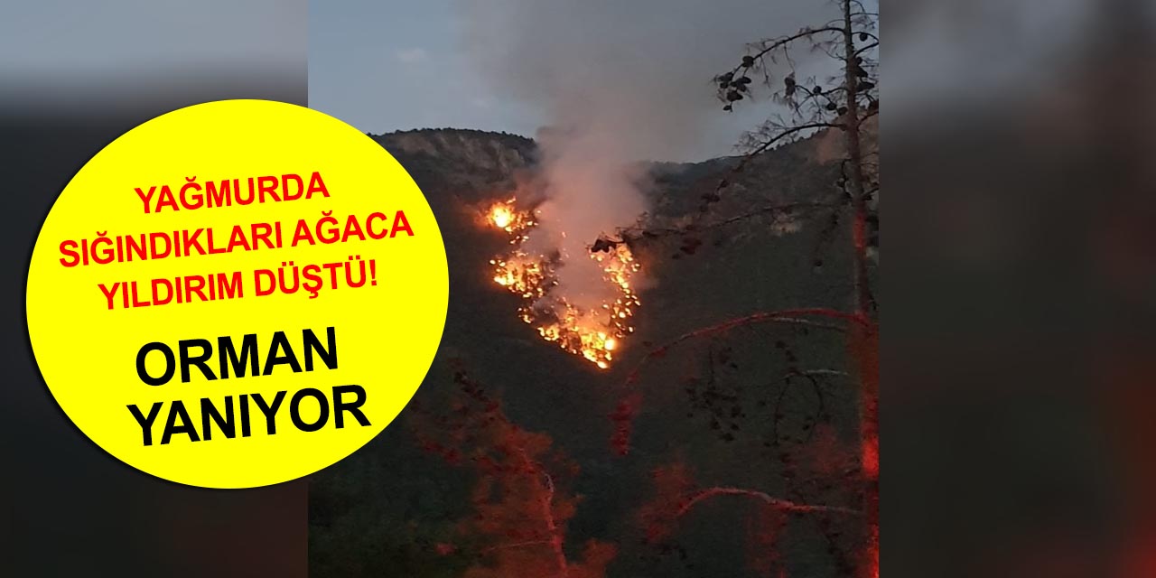 Adana'da ormana düşen yıldırım yangın çıkardı! 3 kişi yaralandı