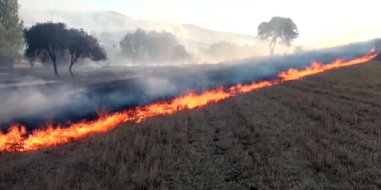 Adıyaman'da arazileri kundaklayan iki kişi jandarmaya yakalandı