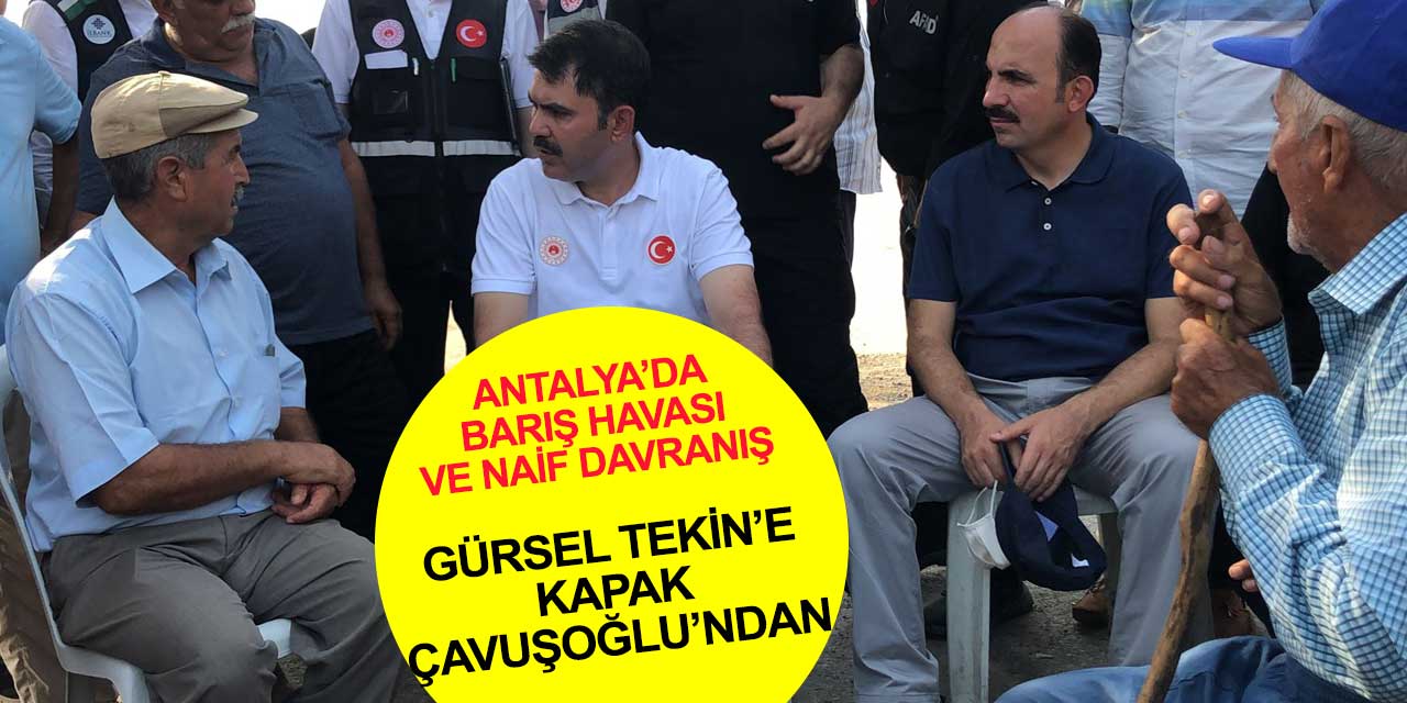 Antalyalı Dışişleri Bakanı Mevlüt Çavuşoğlu'ndan Gürsel Tekin'e kapak! Muhittin Böcek de oradaydı