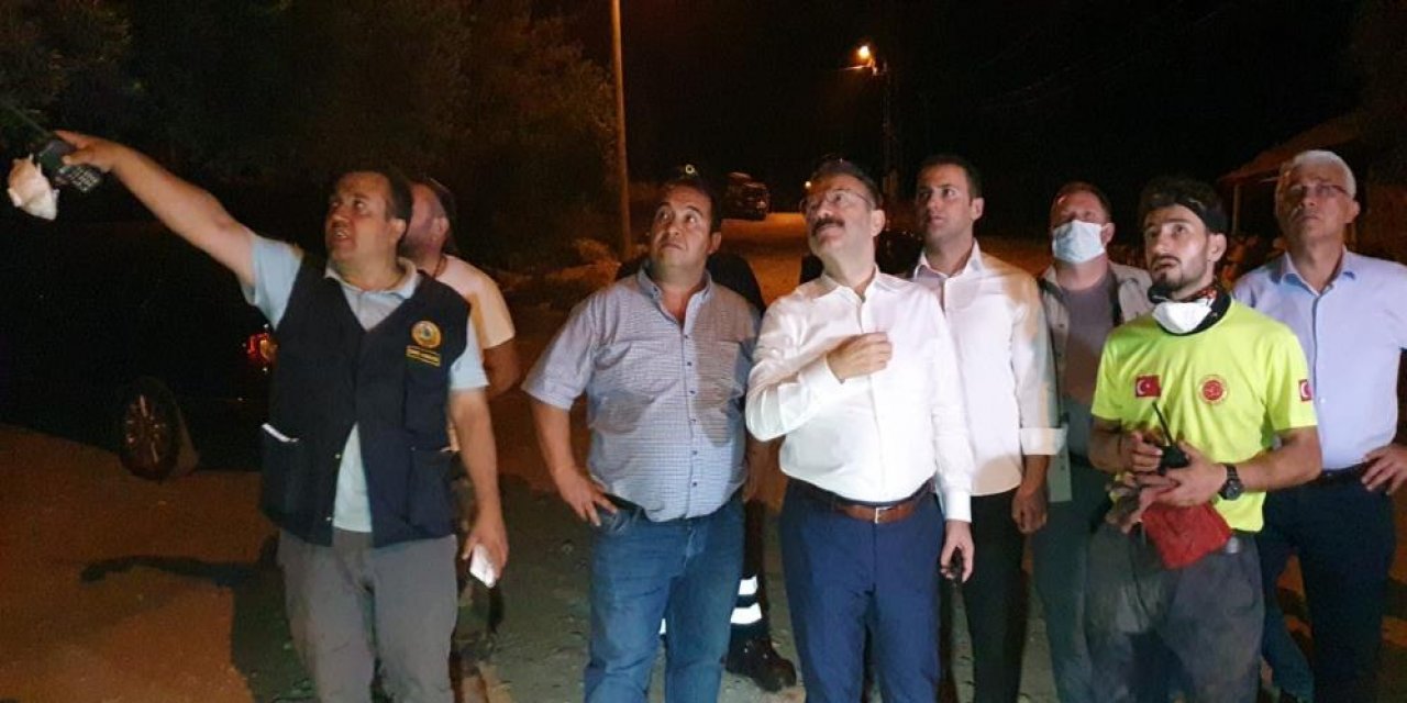 Aydın'dan sevindiren haber! Bozdoğan yangını kontrol altına alındı