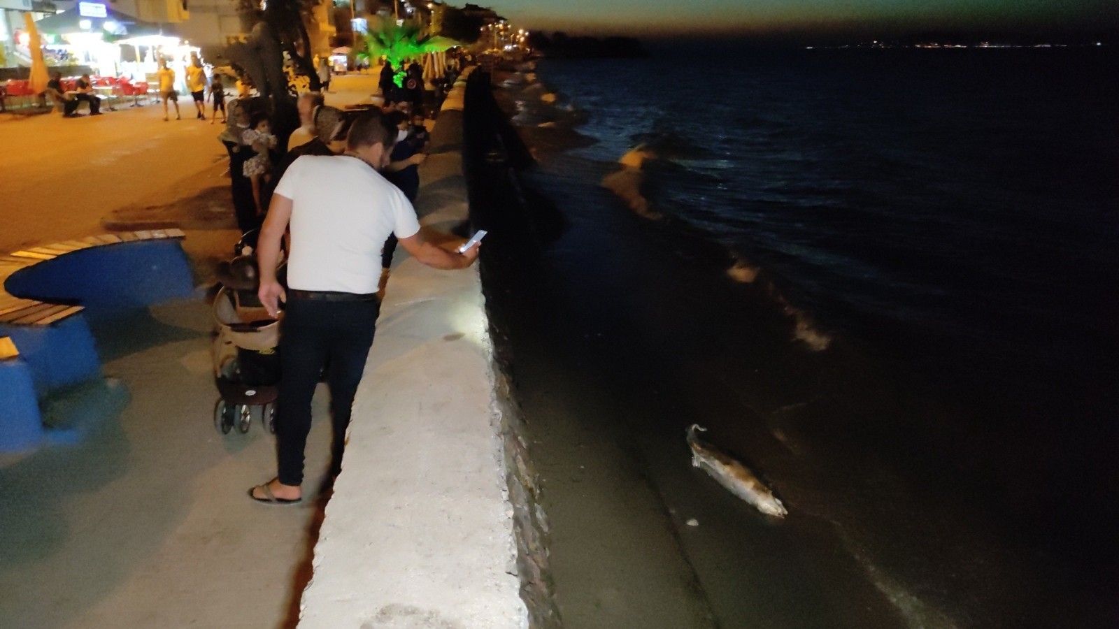 Bursa'da panik anları! Kıyıya vurunca ceset sandılar