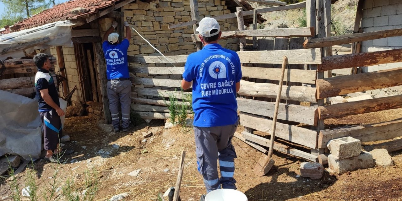 Antalya'da salgın riskine karşı yanan bölgeler ilaçlanıyor