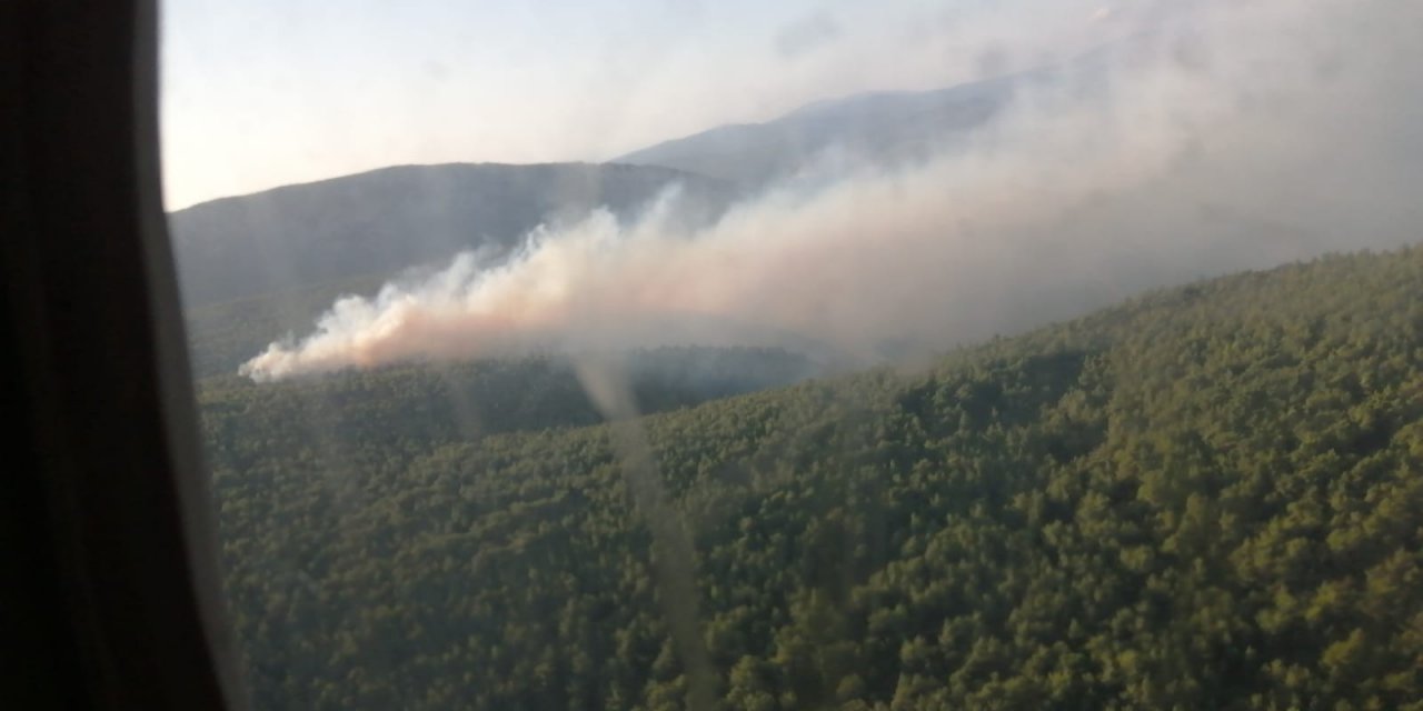 İzmir Karaburun'da orman yangını