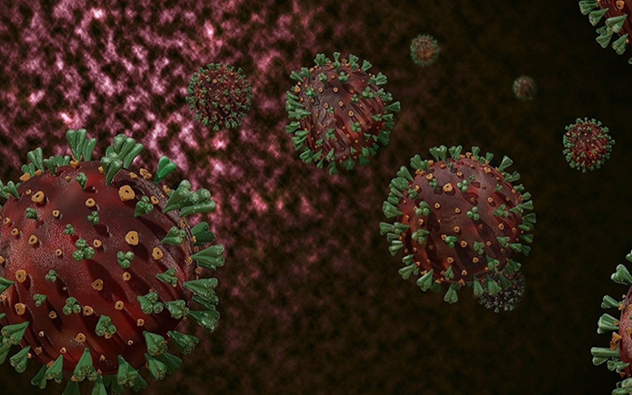 Bir Marburg humması eksikti