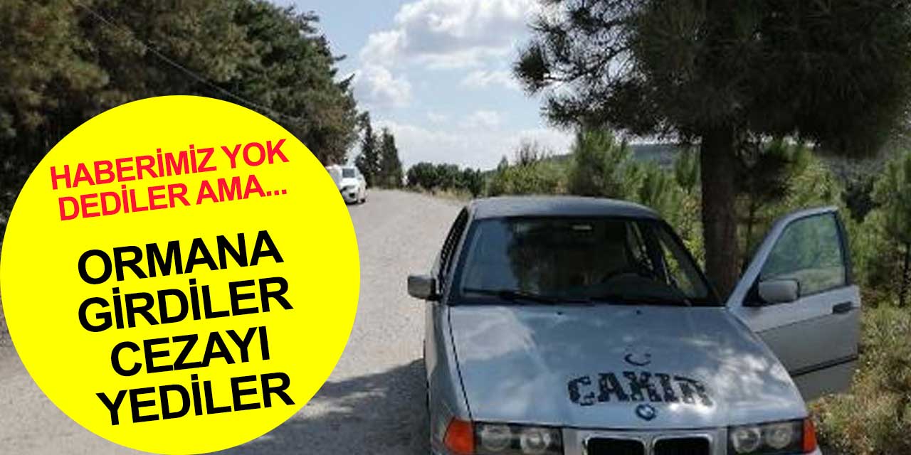Sizin de başınıza gelebilir! Ormana giren 2 kişiye ceza geldi