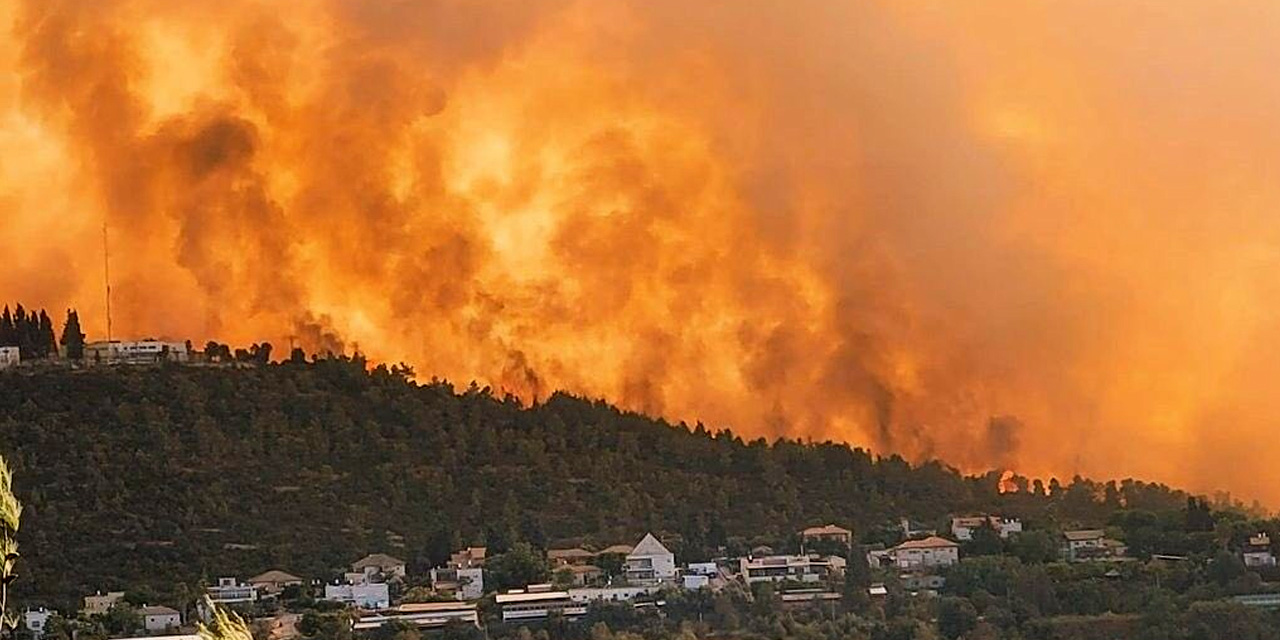 Kudüs'teki orman yangını rüzgarın etkisiyle yeniden alevlendi
