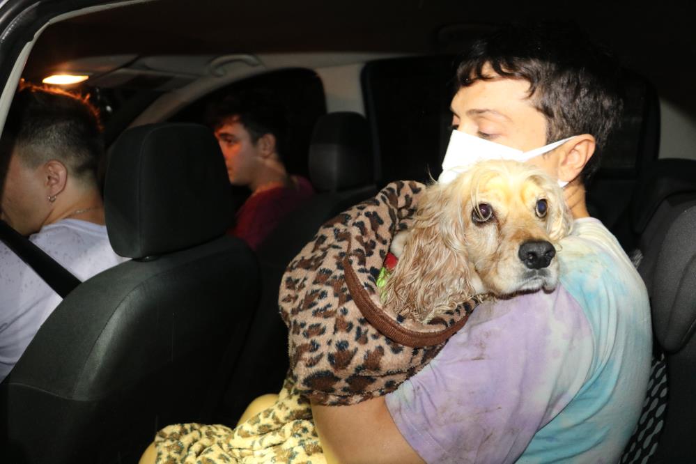 Günün kahramanı Edirne'den! Köprüden atlayan köpek için canını hiçe sayıp nehre atladı