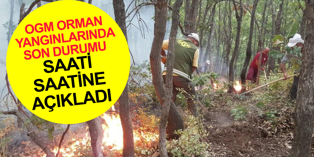 Orman yangınlarında son durum! 6 yangın kontrol altında bir noktada mücadele sürüyor