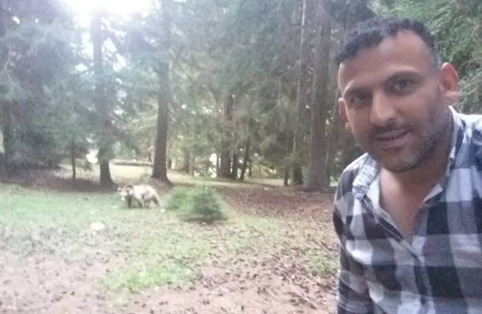 Ayıyla selfie! Taksicinin cesareti yok artık dedirtti