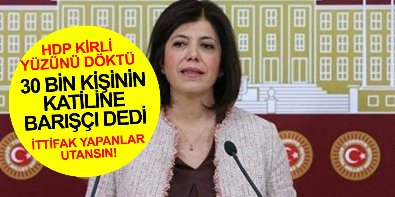 30 bin kişinin katili Apo'ya barışçı dedi! HDP iyice azıttı
