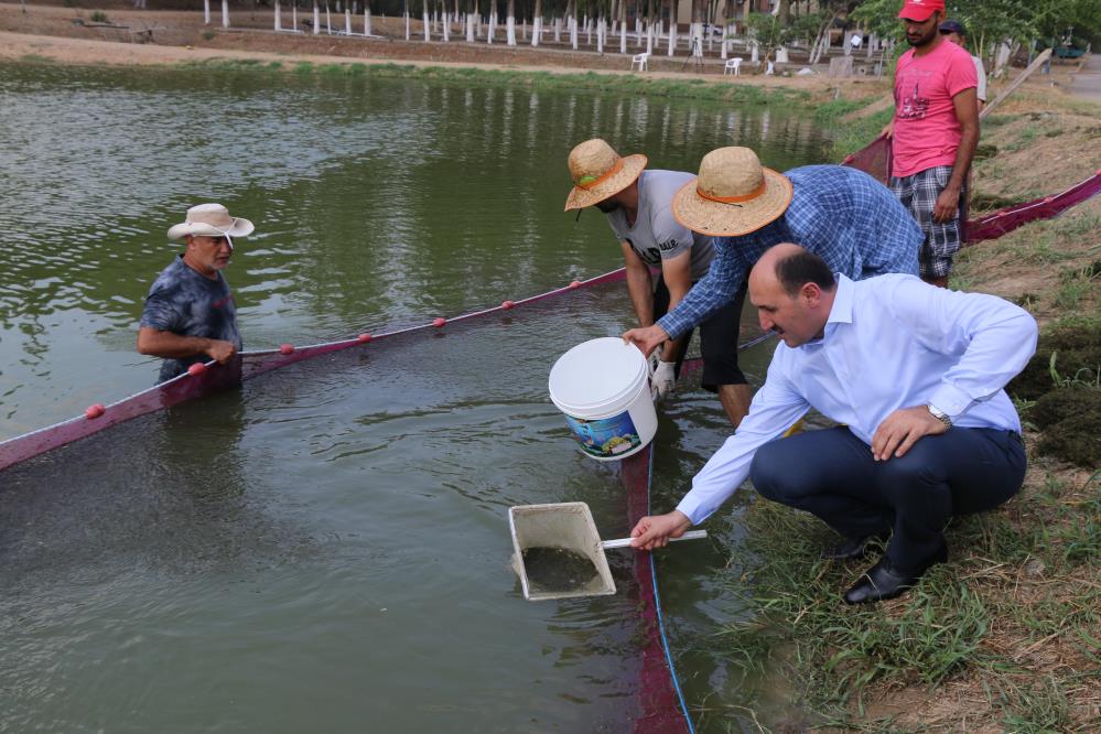 Konya'nın balıkları Adana'dan