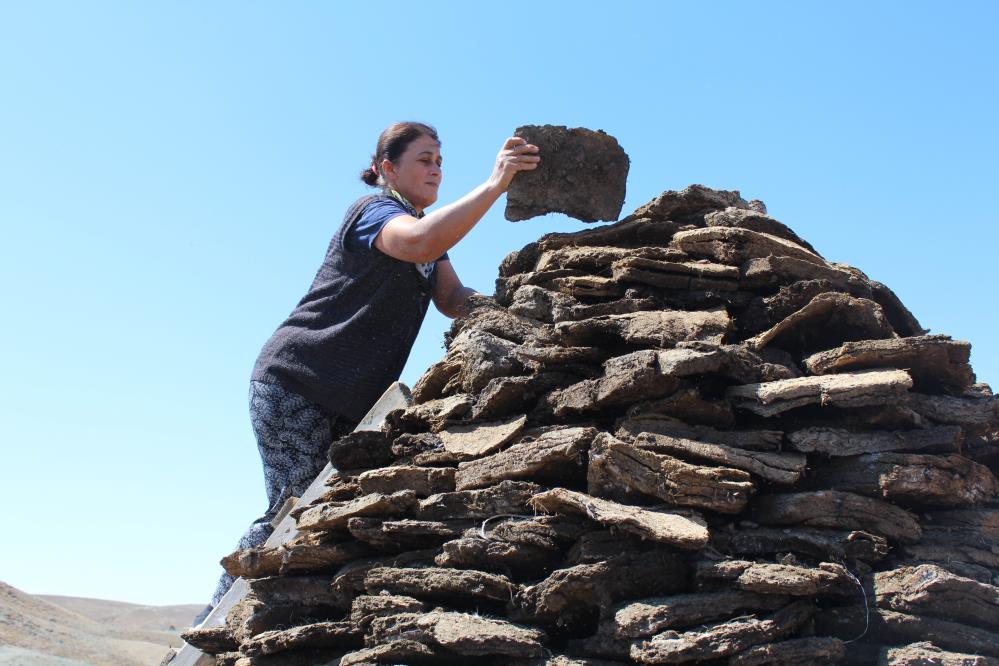 Dünyanın tüm enerji kaynaklarına kafa tutan yakacak! Tezek!