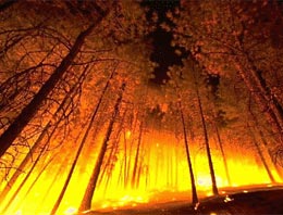 Eyvah! Yeni Çernobil faciası kapımızda!