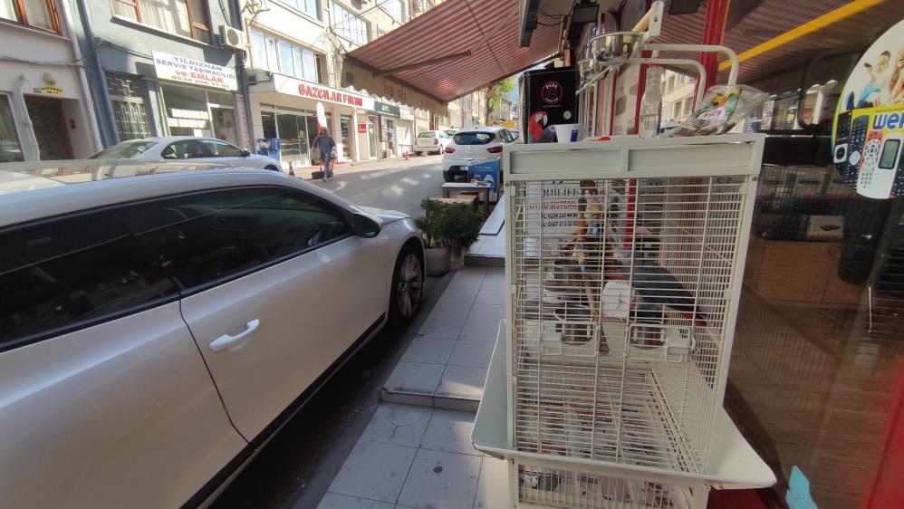 Bursalı hanımların baş belası! Islık sesi çıldırtıyor