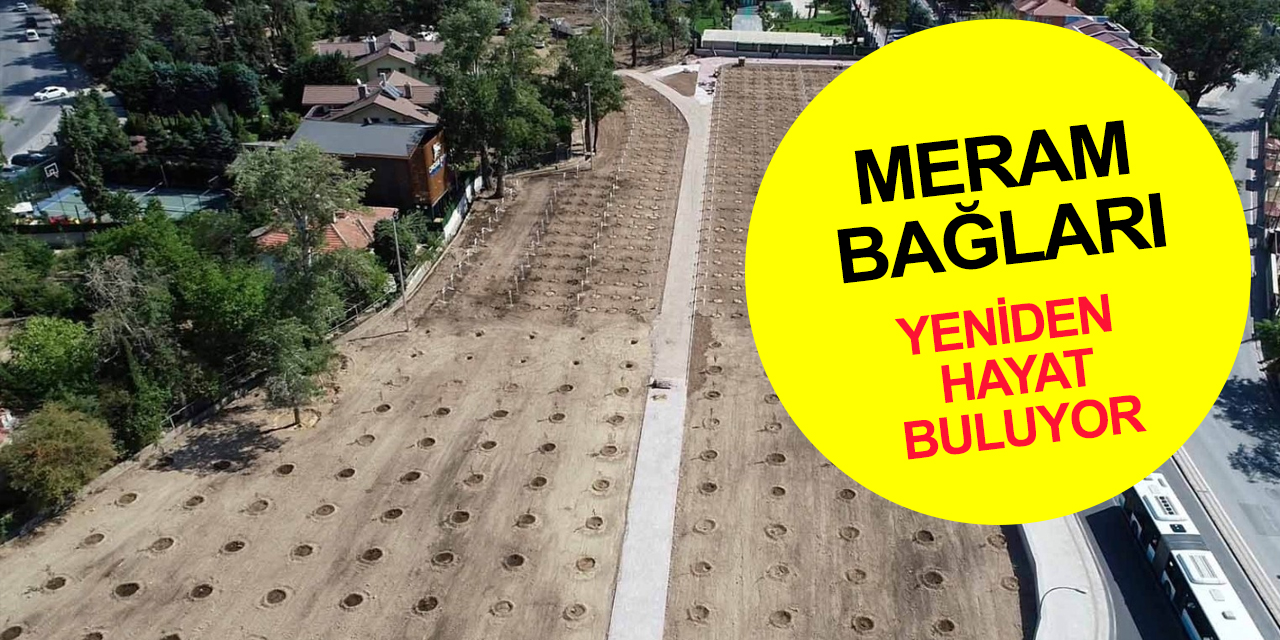 Evliya Çelebi'nin övgüyle söz ettiği 'Bağ-ı Meram' yeniden hayat buluyor