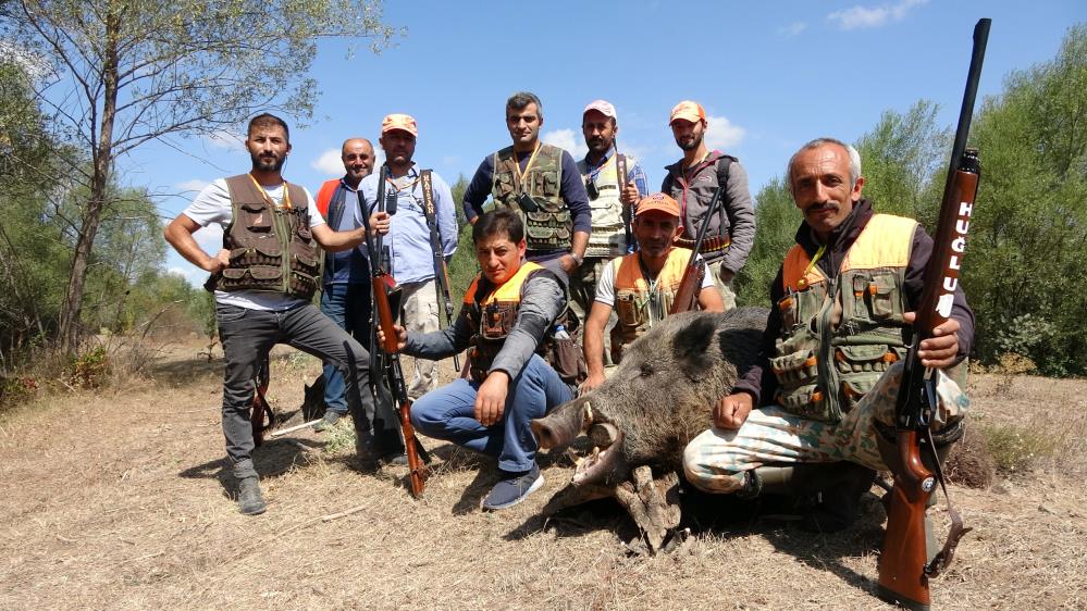 Canlarından bezdiler nöbet tutup domuzları vurdular