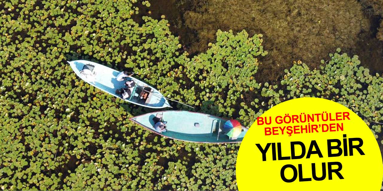 Beyşehir Gölü'nde her yıl görülen manzara... Kaçırmayanlar muhteşem anılara sahip oldu