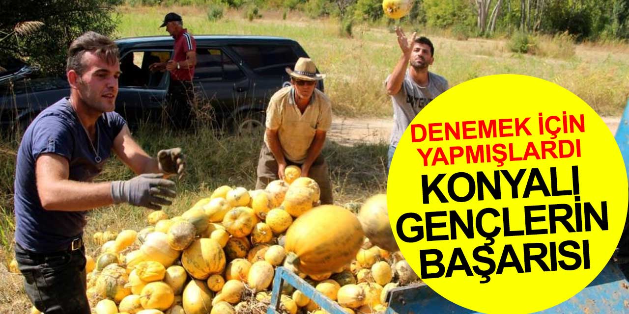 Beyşehirli gençlerin başarısı! Deneme amaçlı ektikleri kabaktan büyük hasılat elde ettiler