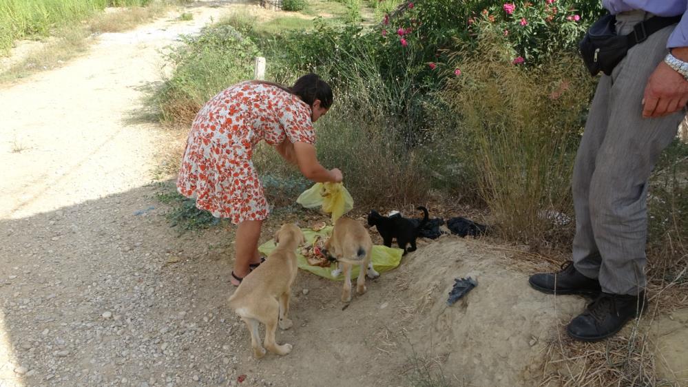 Yüreklerimizi yumuşattınız! Kedi ve köpekler onları gördüğünde koşmaya başlıyor
