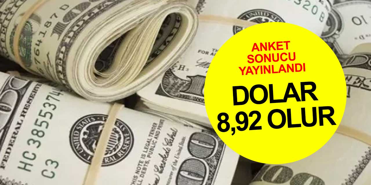 Dolar yılsonunda 8,92 olur