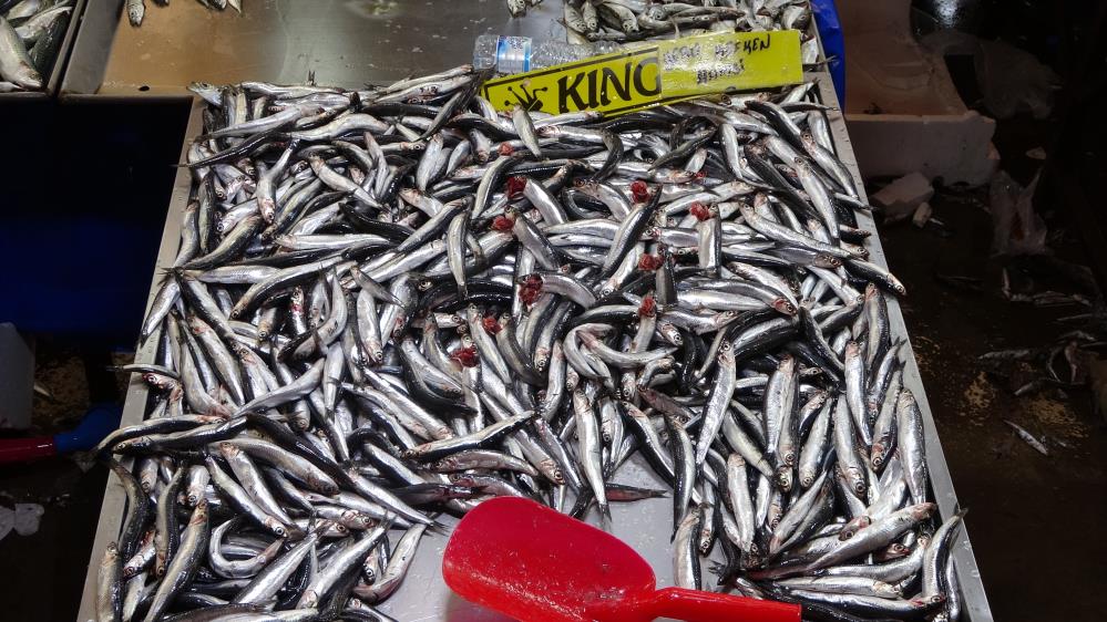 Hamsi 10 lira marul fırsatçı fiyatı
