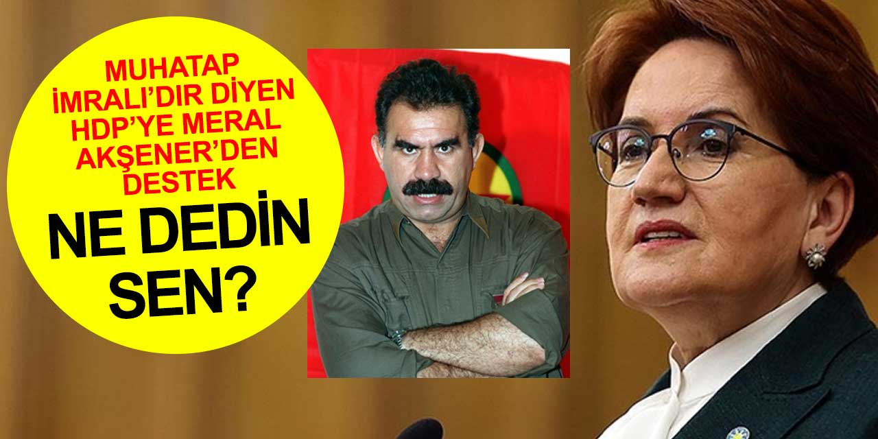 Meral Akşener HDP'yi meşru parti olarak tanımladı