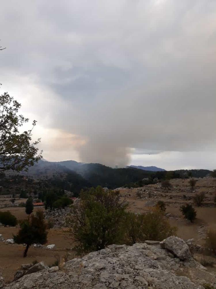 Yine Manavgat yine orman yangını