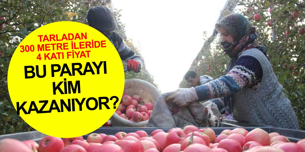 Karaman'da ilginç rakamlar! Pazar market fiyatıyla tarla fiyatı arasında dağlar var
