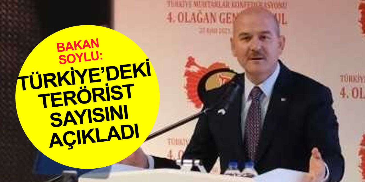 İçişleri Bakanı Soylu: Yeni muhtarlık profilini kabul etmek zorundayız