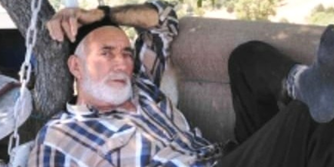Ceviz ağacında kalp krizi geçirip düşen Süleyman Zengin hayatını kaybetti