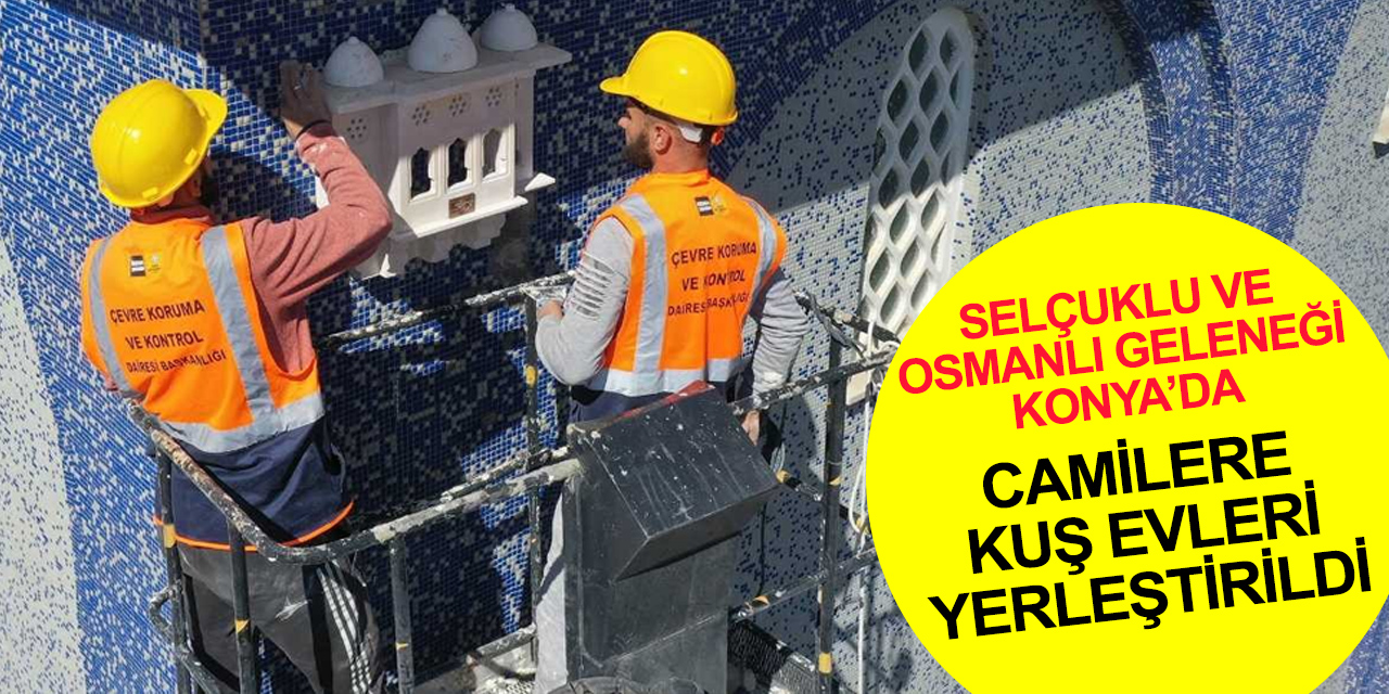 Konya Büyükşehir sahipsiz hayvanlara kucak açıyor