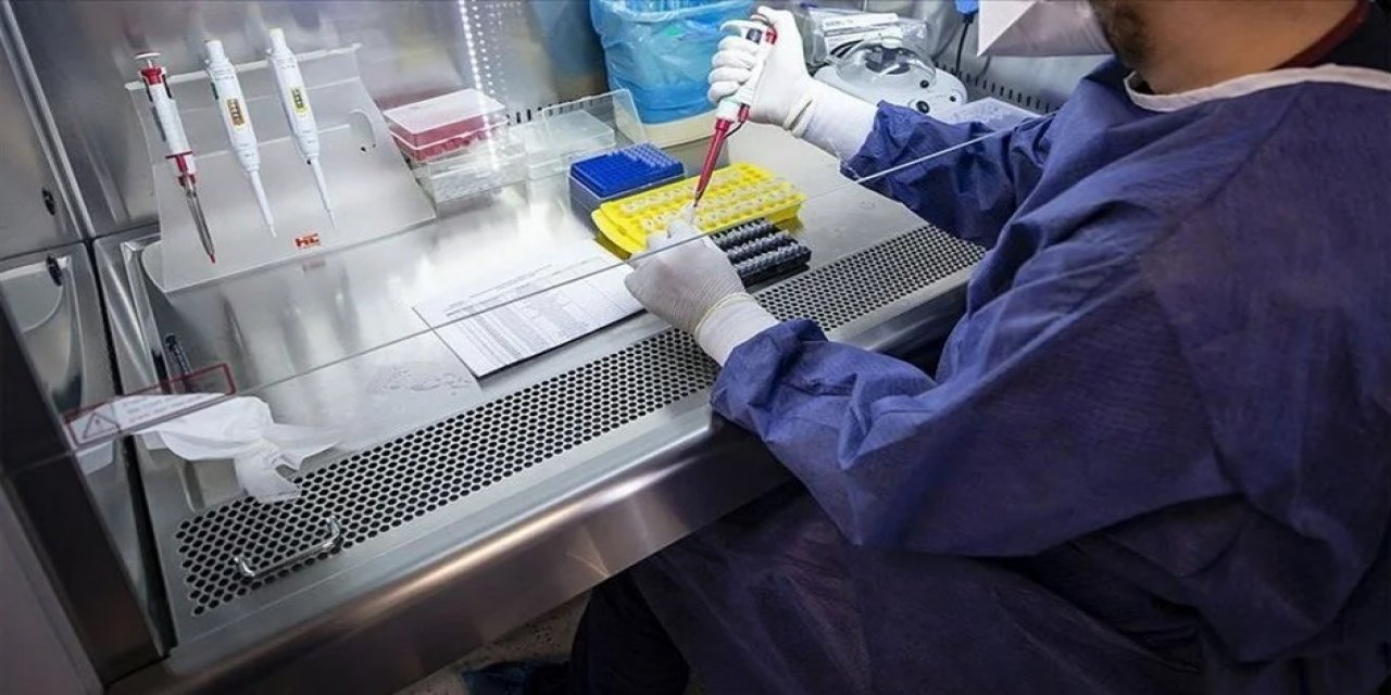 Grip misiniz ve Kovid-19 mu? Türk bilim insanları aynı örnekten saptayan Hibrit PCR Tanı Kiti geliştirildi