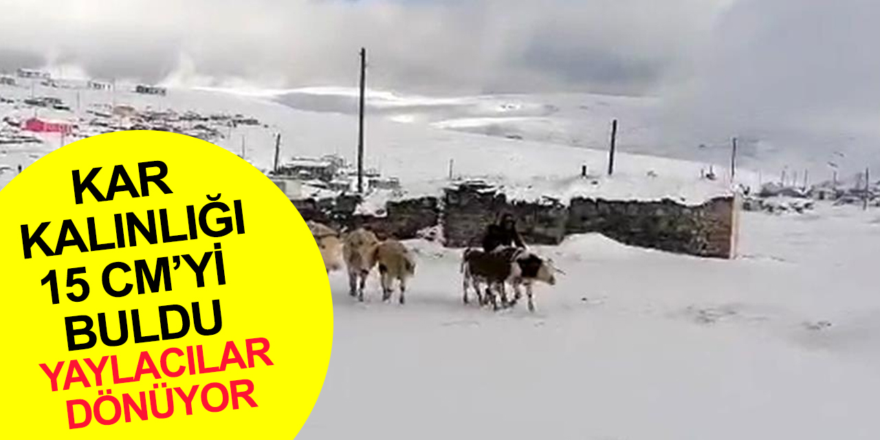 Yaylaların beyaza büründüğü Ardahan'da köye dönüş erken başladı