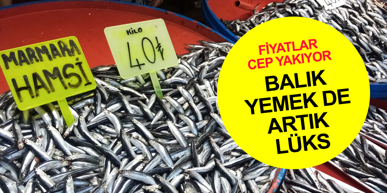 Fiyatlar cep yakıyor! Hamsinin fiyatı 40 lira