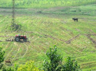 Tarlada referandum savaşları!