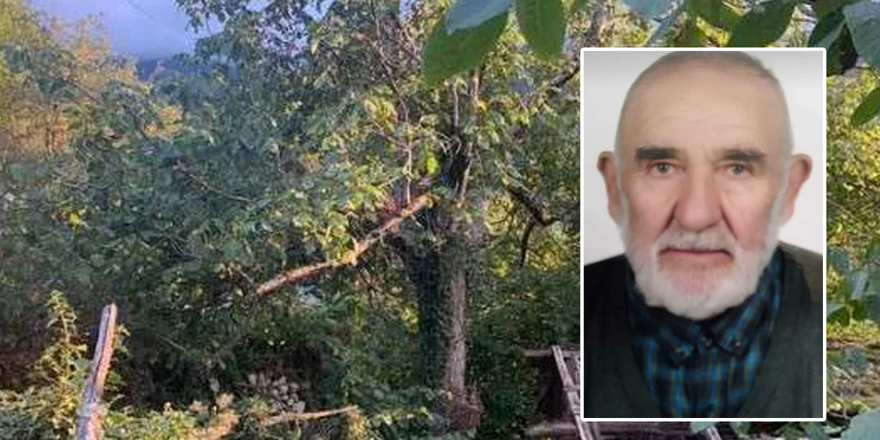 Ceviz toplarken ağaçtan düşen Bahri Kara hayatını kaybetti