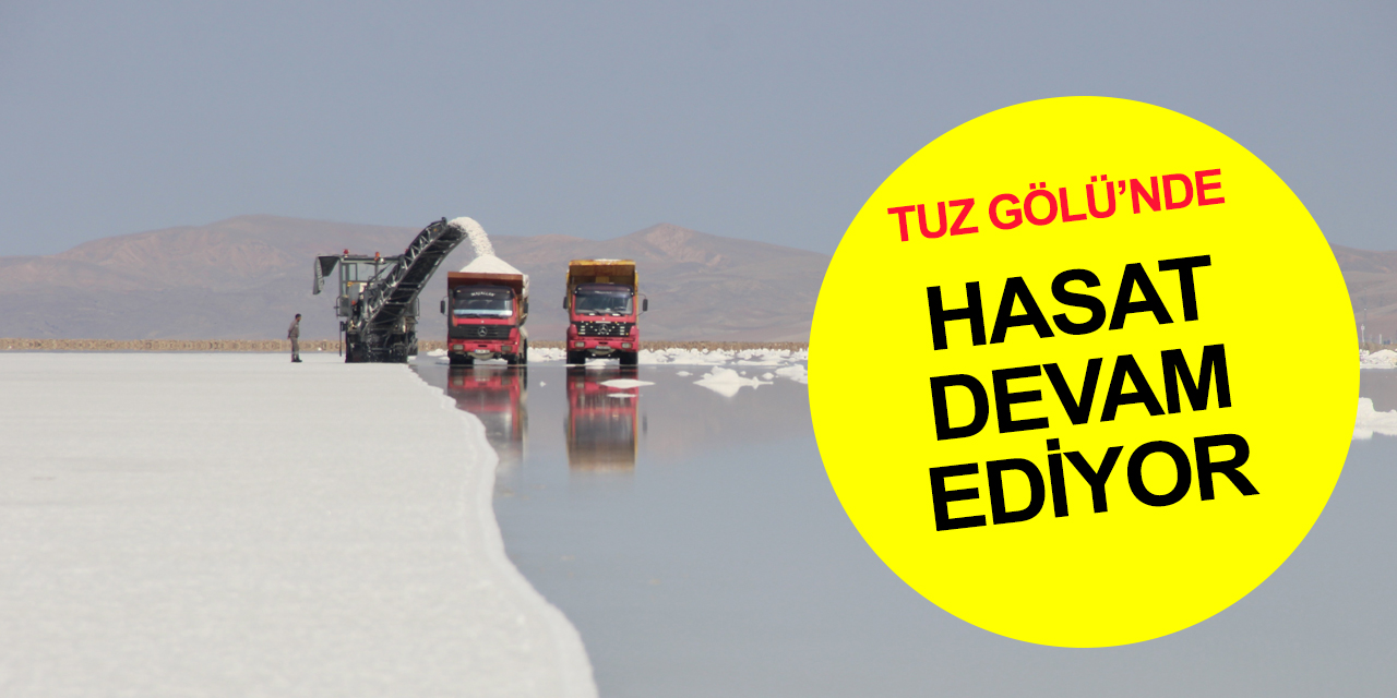 Tuz Gölü'nde hasat zamanı! 60 ülkeye ihraç ediliyor